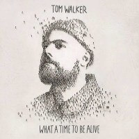 Tom Walker: What A Time To Be Alive (180g) - Sony  -...