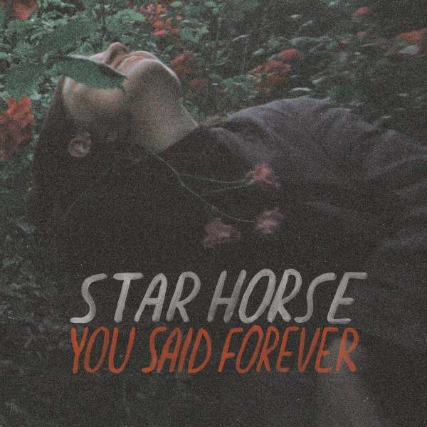 Star Horse: You Said Forever (Colored Vinyl) -   - (Vinyl / Rock (Vinyl))