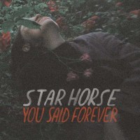 Star Horse: You Said Forever (Colored Vinyl) -   - (Vinyl...