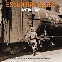 Essential Blues Anthology - Not Now  - (Vinyl / Pop (Vinyl))