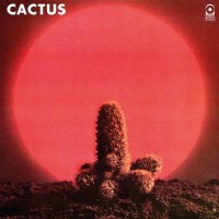 Cactus (180g) - Music On Vinyl  - (Vinyl / Pop (Vinyl))