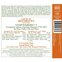 Ludwig van Beethoven (1770-1827): Symphonien Vol.1 (arr. für Flöte & Klaviertrio) - Naxos  - (CD / Titel: H-Z)