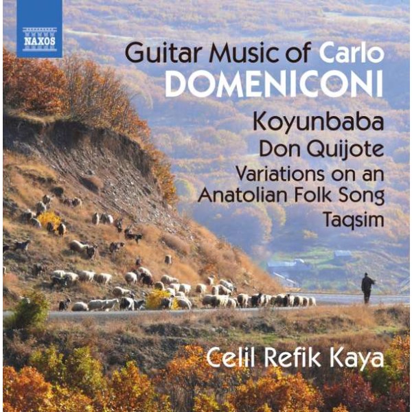 Gitarrenwerke - Carlo Domeniconi - Naxos  - (CD / Titel: A-G)