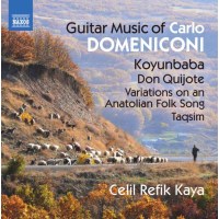 Gitarrenwerke - Carlo Domeniconi - Naxos  - (CD / Titel:...