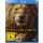 König der Löwen  (BR) Real-Film 2019 Min: 118/DD5.1/WS - Disney  - (Blu-ray Video / Abenteuer)