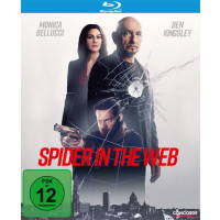 Spider in the Web (BR) Min: 114/DD5.1/WS - Concorde  - (Blu-ray Video / Thriller)