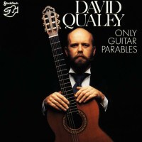 David Qualey: Only Guitar Parables - Stockfisch  - (CD /...