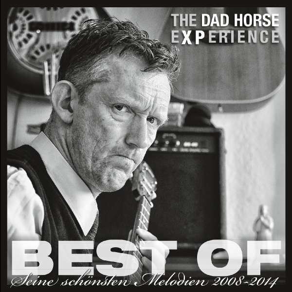 The Dad Horse Experience: Best Of – Seine schönsten Melodien 2008-2014 -   - (Vinyl / Pop (Vinyl))