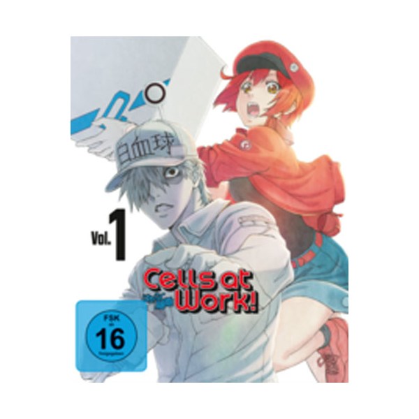 Cells at Work! Vol. 1 (BR+DVD) 2Disc - AV-Vision  - (Blu-ray Video / Anime)