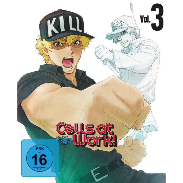 Cells at Work! Vol. 3 (BR+DVD) 2Disc - AV-Vision  - (Blu-ray Video / Anime)