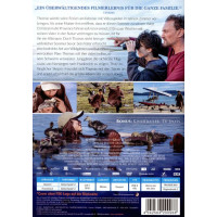 Junge und die Wildgänse, Der (DVD) Min: 109/DD5.1/WS...