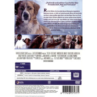 Ruf der Wildnis (DVD)  2020 Min: 96/DD5.1/WS    Harrison...