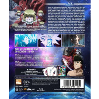 Hunter x Hunter - Vol. 11 (BR) 2Disc Episode 113-124 -...