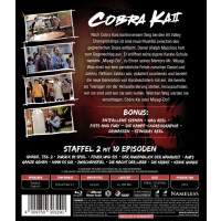 Cobra Kai - Season #2 (BR) 2Disc - EuroVideo  - (Blu-ray...