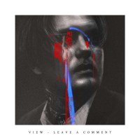 View (Juuso Ruohonen): Leave A Comment (Limited Edition)...