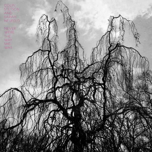 Colin Stetson & Sarah Neufeld: Never Were The Way She Was (180g) -   - (Vinyl / Pop (Vinyl))