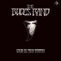 The Budos Band: Long In The Tooth -   - (Vinyl / Pop...