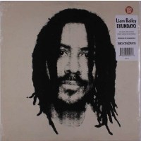 Liam Bailey: Ekundayo -   - (Vinyl / Rock (Vinyl))