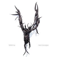 Tetema: Necroscape (Limited Edition) (Colored Vinyl) -...