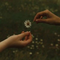 Goldmund: The Time It Takes (Limited Edition) (Marigold...