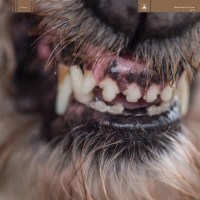 Blanck Mass: World Eater -   - (Vinyl / Pop (Vinyl))