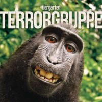 Terrorgruppe: Tiergarten - Destiny  - (Vinyl / Pop (Vinyl))