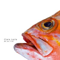 Clara Luzia: We Are Fish - Asinella  - (Vinyl / Pop (Vinyl))