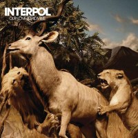 Interpol: Our Love To Admire - Matador  - (Vinyl / Pop...