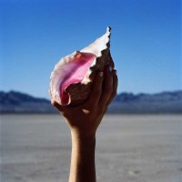 The Killers: Wonderful Wonderful - Island  - (Vinyl /...