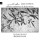 Ensemble Aromates - Melodies andalouses du Moyen-Orient - Alpha  - (CD / Titel: A-G)