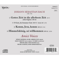 Johann Sebastian Bach (1685-1750): Kantaten BWV 106 &...