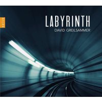 Leos Janacek (1854-1928): David Greilsammer - Labyrinth -...