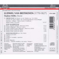 Große Fuge f.Klavier zu 4 Händen op.134: Ludwig van Beethoven (1770-1827) - Thorofon  - (CD / Titel: A-G)