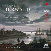 Franz Berwald (1796-1868): Kammermusik - MDG  - (Classic...