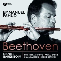 Ludwig van Beethoven (1770-1827): Kammermusik für...