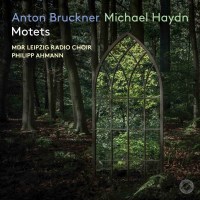 Michael Haydn (1737-1806): Motetten - Pentatone  -...