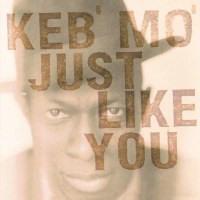 Keb Mo (Kevin Moore): Just Like You (180g) - Music On...