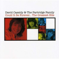 David Cassidy: Could It Be Forever: Th - Sony  - (CD /...