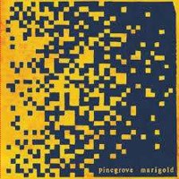 Pinegrove: Marigold (Limited Edition) (Yellow Vinyl) -...