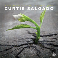 Curtis Salgado: The Beautiful Lowdown -   - (CD / Titel:...