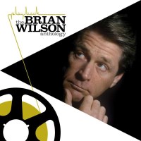 Brian Wilson: Playback: The Brian Wilson Anthology (180g)...