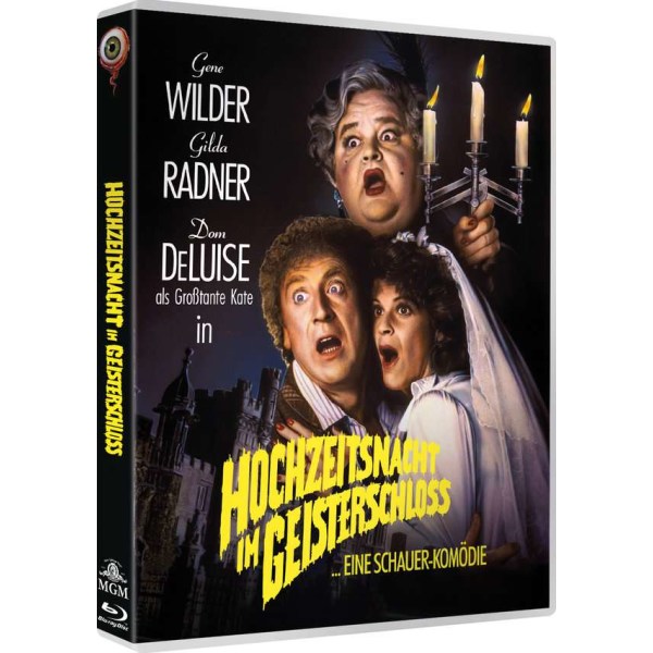 Hochzeitsnacht im Geisterschloss (Blu-ray & DVD): - Wicked-Vision Media  - (Blu-ray Video / Sonstige / unsortiert)