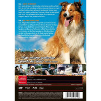 Lassie ist die Beste -   - (DVD Video / Sonstige /...