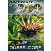 Abenteuer Zoo: Düsseldorf -   - (DVD Video /...