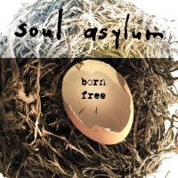 Soul Asylum: Born Free (Limited Edition) - Blue Elan  -...