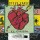 Steve Earle: El Corazón -   - (CD / Titel: Q-Z)