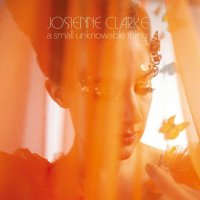 Josienne Clarke: A Small Unknowable Thing - Corduroy Punk...