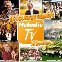 Various Artists: Blasmusik Melodie TV Stars -   - (CD /...