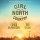 Original Broadway Cast Of Girl From The North Coun: Girl From The North Country - Sony  - (CD / Titel: H-P)