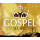 Various Artists: Gospel Music -   - (CD / G)